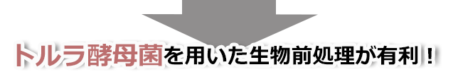 結論！安定した活性汚泥処理のためには、油分の前処理と負荷の安定化が必要